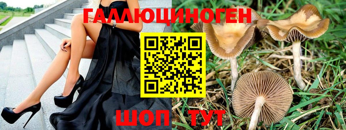 Галлюциногенные грибы прущие грибы Сызрань